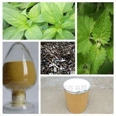 植物提取物 自然精華的多維應(yīng)用與未來(lái)前景