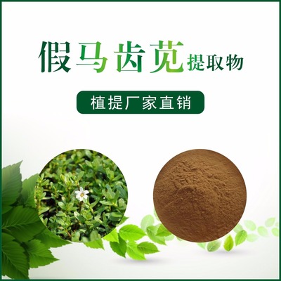 假馬齒莧提取物 探索自然香料中的綠色寶藏